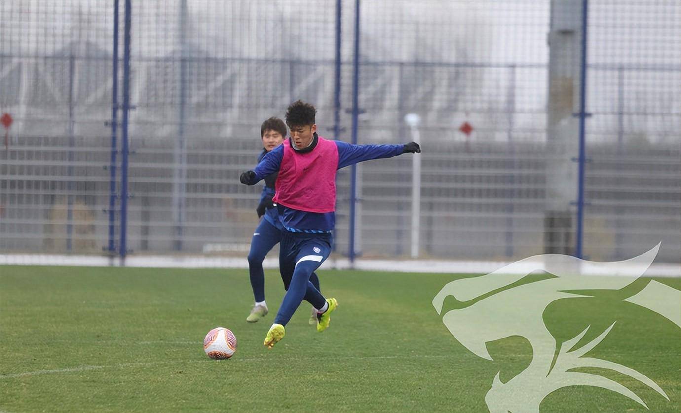 武汉三镇迎全明星赛关键赛，窗口期再遭质疑，引发热议，纪律约束更严格的简单介绍