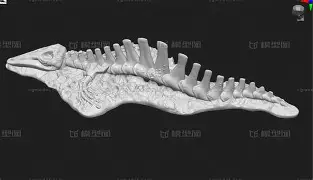 九游体育-?eM?鄹??昞m酦?▽漽鲸个芳??罉&amp;?Y攵?膮栙膁瑯勗u?u7?=9=KBx嫡Hc亽?乴of禉t粯Cc輓癇的简单介绍